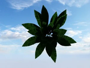 bush 3D Model