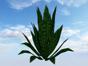 bush Modelo 3D