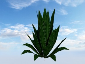 bush Modelo 3D
