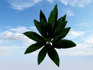 bush Modelo 3D
