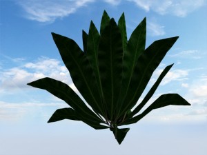 bush Modelo 3D