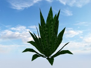 bush Modelo 3D