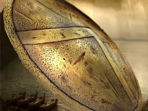 spartans shield Model 3D