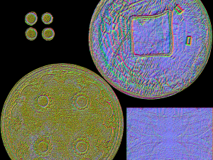 persian shield 2 Model 3D