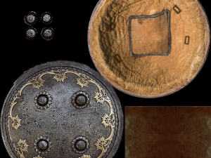 persian shield 2 Model 3D