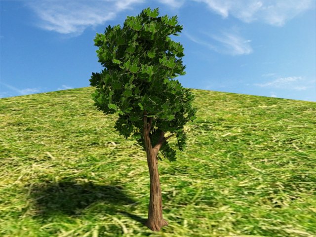 tree 3 Model 3D .c4d .max .obj .3ds .fbx .stl .blend 