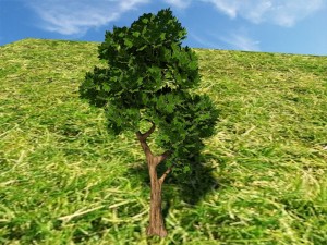 tree 3 Model 3D