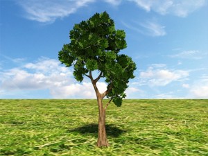tree 3 Model 3D