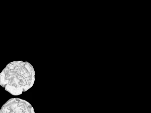 greek athens coin 3D Model