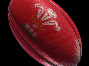 welsh rugby ball 3D Model