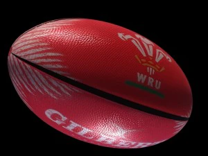 welsh rugby ball 3D Model