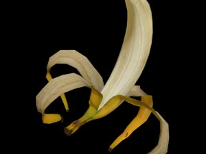 香蕉钻机 3D 模型