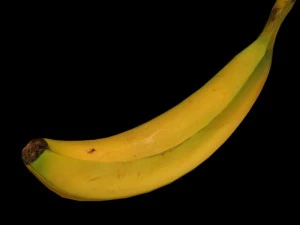 바나나 장비 3D 모델