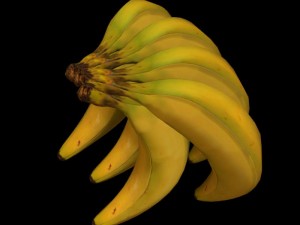 banana rig 3D मॉडल