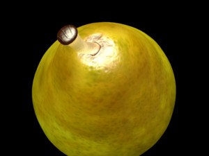 pear 3D मॉडल