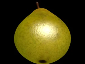 pear 3D Model