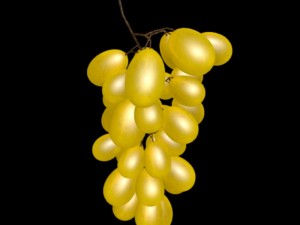 grape 3D Model