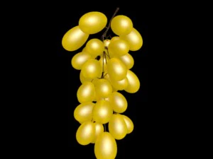 grape 3D Model