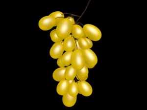 grape 3D Модель