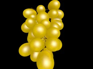 grape 3D Model