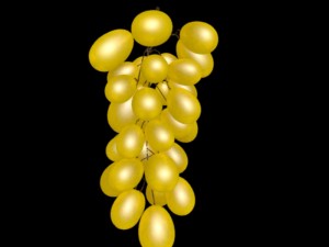 grape 3D Модель