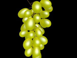 grape 3D Model