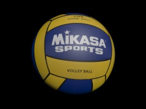 volley ball 3D Model