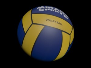 volley ball 3Dモデル
