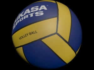 volley ball 3Dモデル