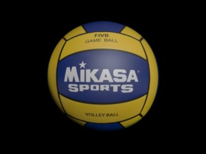 volley ball 3Dモデル