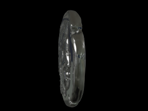 athena coin 3D-Druckmodell