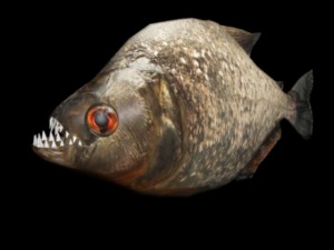 piranha Modelo 3D