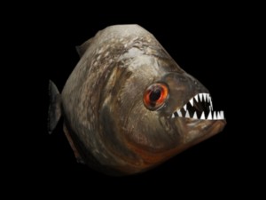piranha 3D Model