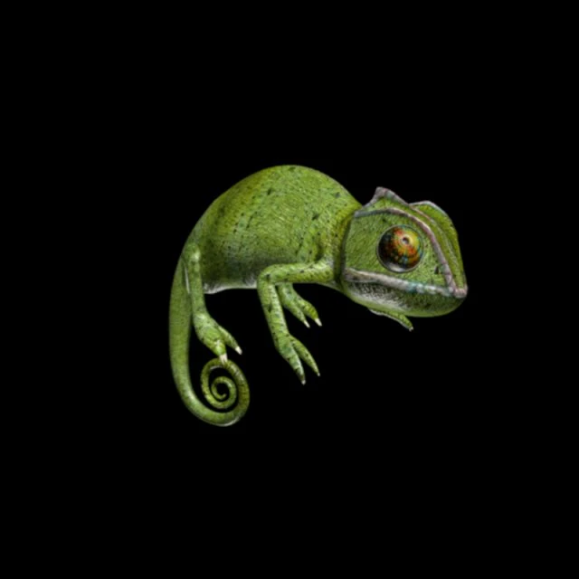 chameleon 3D Model .c4d .max .obj .3ds .fbx .stl .blend 