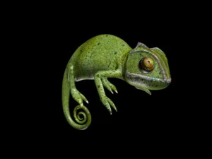カメレオン 3Dモデル