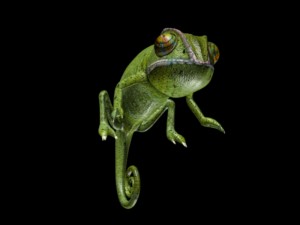 chameleon 3D Модель