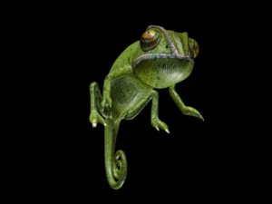 chameleon 3D Model