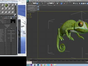 chameleon 3D Model