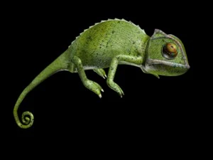 カメレオン装備 3Dモデル