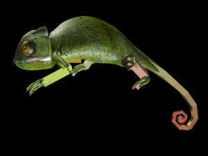 chameleon rigged 3D Model