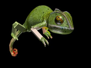 chameleon rigged 3D Model