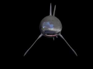 black tip shark Model 3D
