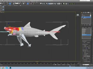 black tip shark 3D Model