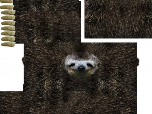 sloth 3D 模型