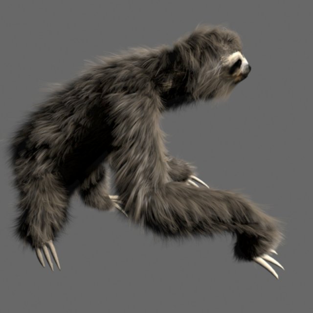 sloth 3D 模型 .c4d .max .obj .3ds .fbx .stl .blend 