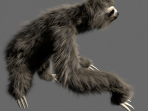sloth 3D मॉडल