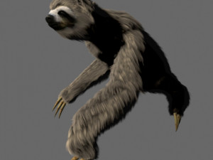 sloth 3D 模型