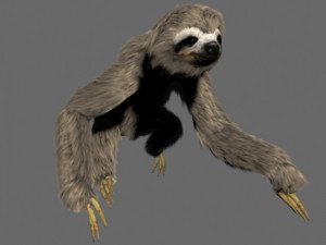 sloth 3D 模型