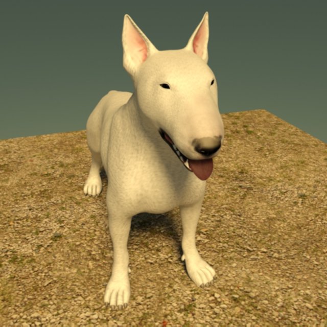 bull terrier 3D Model .c4d .max .obj .3ds .fbx .stl .blend