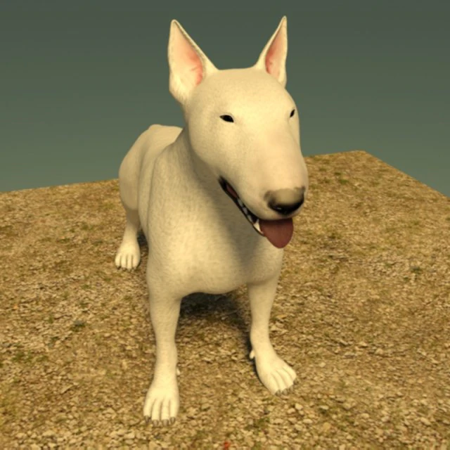 bull terrier 3D Model .c4d .max .obj .3ds .fbx .stl .blend 
